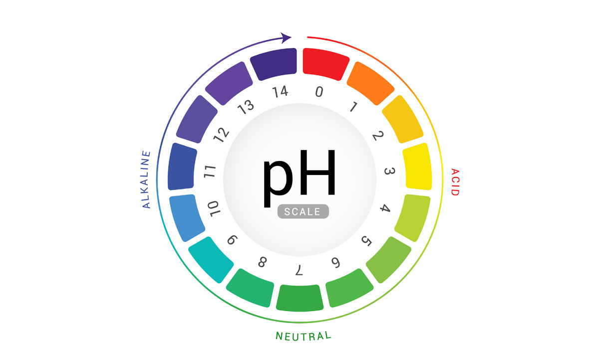 What is pH balance and should men care? VITAMAN – VITAMAN USA